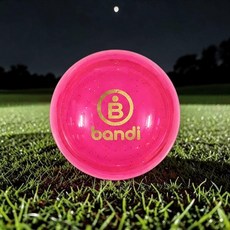 스마트폰처럼 충전하는 세계최초 리얼 충전식 발광 파크골프공 반디볼 핑크(형광)W, 핑크(형광)색, 1개, 1개입