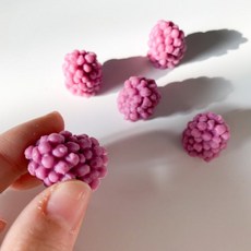 [이브닝메종] 대형 복분자 산딸기 모형 실리콘 몰드 5구, 복분자 IB3