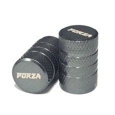 셀렉트템 포르자 타이어 벨브캡 공기마개 공기주입구 호환, 그레이, 2세트