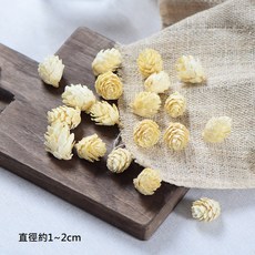 彩色落葉松果串/落葉松果/落葉金松果/落葉松/拍照道具/乾燥花配件/乾燥花花材/乾燥花材/聖誕花材/松果/聖誕花圈材料, 1個, ❰米白❱小落葉松果(1份10顆), 米白