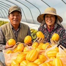 산지직송 성주 고당도 꿀 참외, 1박스, 3kg (대과)