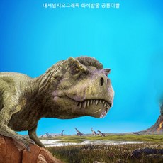 내셔날지오그래픽 화석발굴 공룡이빨 공룡인형