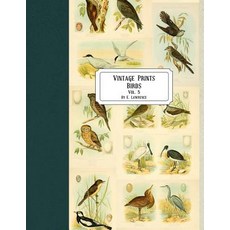 (영문도서) Vintage Prints: Birds: Vol. 5 Paperback, Createspace Independent Pub..., English, 9781720787532