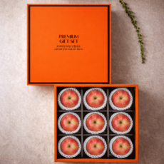 프리미엄 사과 선물세트 9과 설 명절 과일선물, 1세트