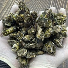 자연산 거북손 500g 배말 삿갓조개