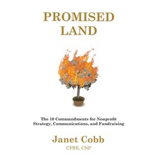 Promised Land: The 10 Commandments for Nonprofit Strategy Communications and Fundraising Paperback, Wjrc Press, English, 9781736227503