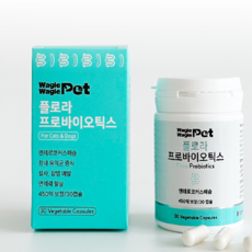 반려동물 프로바이오틱 유산균 유통기한 임박, 1개, 장건강/유산균, 30정