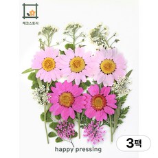 체크스토리 압화 컬러가든시리즈 누름꽃 꽃송이 압화재료 공예, 핑크15(3팩), 핑크