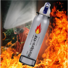 국산 차량용 캠핑 다용도 소화기 안전용품(안전선배), 255ml, 실버