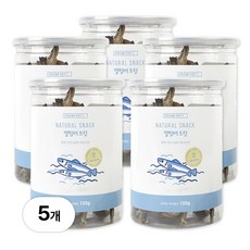 프롬벳 국내제조 열빙어 동결건조 간식, 100g, 5개, 캐나다산 열빙어 트릿