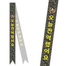 솔메이드 생일 어깨띠 파티 소품 오늘의주인공 축하 승진 44종, 군인-전역(고정형)