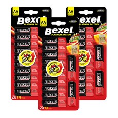 벡셀 플래티넘 알카라인 고성능 건전지 AA 24개입, 1세트, 3개