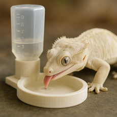 자동 급수기 크레스티드 게코 도마뱀 파충류 소동물 물그릇, 화이트, 1개