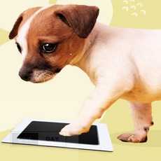 아기 강아지 발도장 스탬프 기념일선물, 검