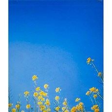 Worldbook365 Apocalypse: Beauty and Horror in Contemporary Art 현대미술 아름다움 공포 전시도록