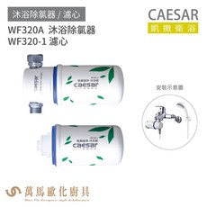 CAESAR 凱撒衛浴 WF320A 沐浴除氯器 (含WF320-1濾心) - 有效除氯，呵護肌膚，享受健康沐浴, 1個, WF320-1 濾心