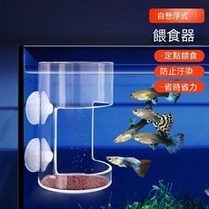 玻璃懸浮繁殖隔離盒 孵化 幼魚盒 魚缸隔板 水族用品 透明玻璃 懸浮式設計, 1個, 魚缸餵食器【一個吸盤】 滿99起送