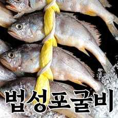 [영광직송] 국산 굴비 영광굴비 법성포굴비 참조기, 1개, 900g/20미/14-15cm