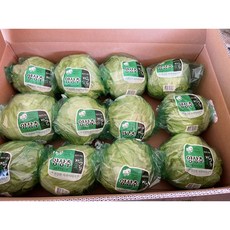 [림다준] 국내산 포장상추 12개 8kg 이하 1박스, 1개