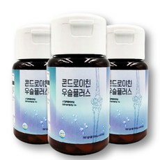 우슬 콘드로이친 3박스(총 180정) 6개월분 대용량, 6개, 60정
