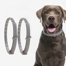 MoreD 강아지 고양이 모기 벌레 목걸이_ MD9714, 1강아지벌레방지-소형, 쿠팡 1강아지벌레방지-소형