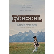(영문도서)Rebel: Following Jesus When the World Walks the Other Way Paperback, English, 9781400355396, Thomas Nelson