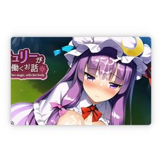 T9917 失去魔力的帕秋莉開始賣爲生的故事 雲翻漢化版 PC遊戲 [新作/662M]