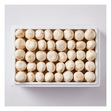 부여 양송이 버섯 중품 1kg