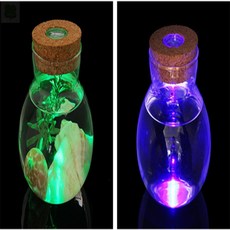 aloha 마리모LED코르크유리병 수생식물