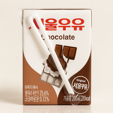 서울우유 초코멸균우유 200ml x 24개