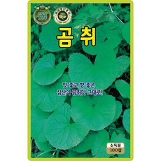 산들마켓 곰취 씨앗 100립 맛 좋고 향 좋은 심산의 곰취맛 재래종 국내산 고급 품종 종자, 1개