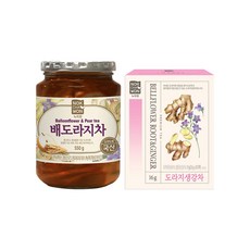 [녹차원] 배도라지차 550g+도라지생강차 20티백, 2개입, 566g, 2개