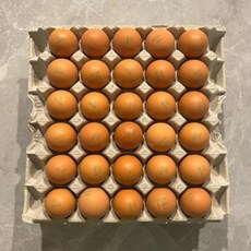 무정란 특란 무항생제 신선보장 파손포장, 1개, 30구