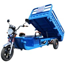 삼토바이 초소형 농사용 제품 삼발이 화물 전기차 전기트럭, A. 48V x 60V, Z. 파란색 900위안 익스텐더