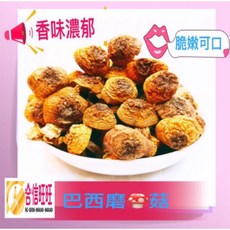 【合信蔘藥】巴西蘑菇150克 香味濃郁 脆嫩可口, 1個