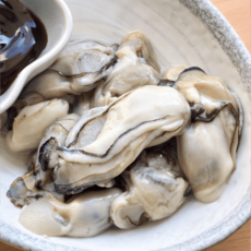 당일조업 제철 통영 최상급 생굴, 1개, 3kg