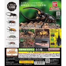 萬代 生物大圖鑑 獨角仙 08 甲蟲 大兜蟲 美西白兜蟲 波麗菲夢斯花金龜, 1個, 扭蛋大全5款+扭蛋機機台紙