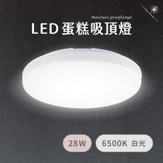 Crazy Woo Jin LED 蛋糕吸頂燈, 28W【白光】(超取單筆限4顆)