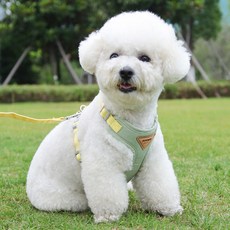 디아쿠아 강아지 고양이 바디핏 하네스 리드줄 세트, 올리브그린, 1개 올리브그린, 1개