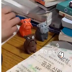 스트레스 해소 화난 강아지 무는 개 장난감 친구, 갈색 개