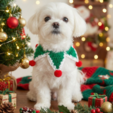 스펜서 고양이 크리스마스 북극 요정 케이프, 그린, 1개