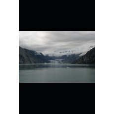 (영문도서)The Curse of Mendax Paperback, Independently Published, English, 9798242344976