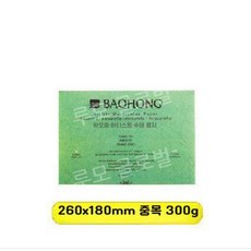 루모 바오홍 아티스트 300g 전문가용 종이 중목 황목 세목 워터칼라 수채화 4k, 8. 26X18cm 중간 굵은 결