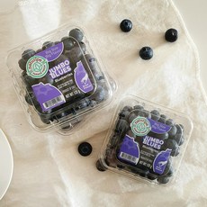 칠레산 생 블루베리(14mm) 팩당 125g내외, 1박스, 블루베리(14mm) 팩당 125g내외 x3팩