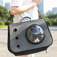 몽글펫 반려동물 강아지 이동가방 고양이 캐리어 반려묘 이동장, 1개, 그레이