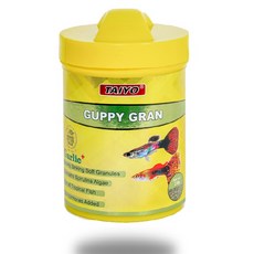 [공식몰] 구피 소형어 유어 치어 등_타이요 구피그랜, 1개, 80g