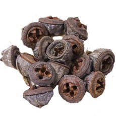 天然乾燥尤加利果實一顆裝，居家裝飾、花藝設計、DIY手工藝品材料，增添自然氣息, 1個