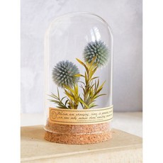 台灣熱賣復古植物標本永生花擺件，向日葵玻璃罩微景觀裝飾，桌面文藝氣息擺設, 藍星球（小號）7cm*13cm