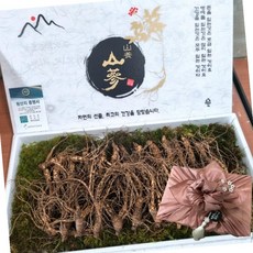 VDG 장뇌삼 실속형 5~7년 3등급 소 150g 약 15~20뿌리 국내산 장뇌삼