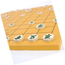 DSGS 양면장기판 알까기판